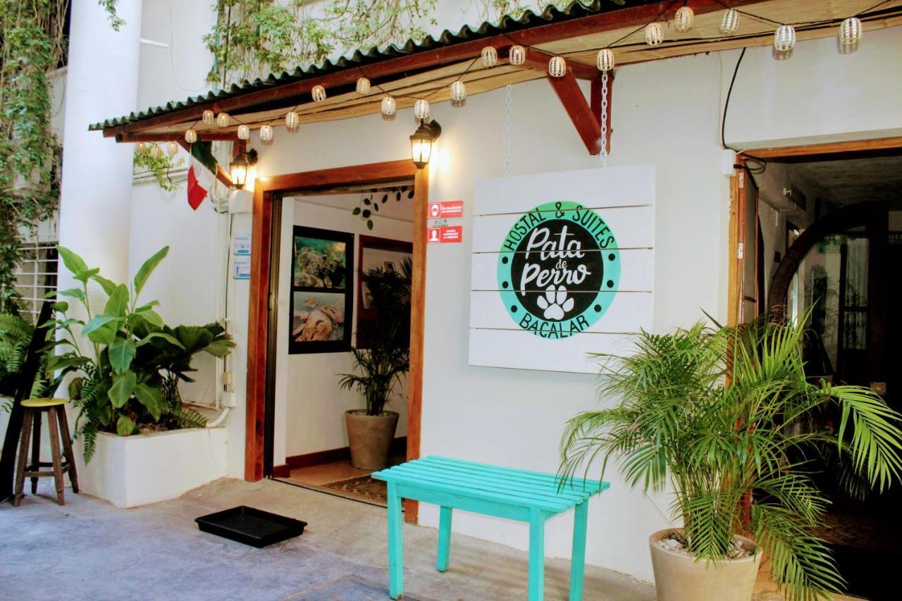 Hostal & Suites Pata De Perro Bacalar Bagian luar foto