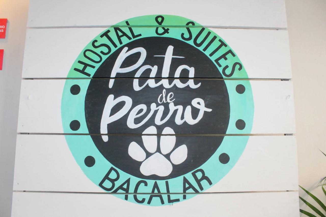 Hostal & Suites Pata De Perro Bacalar Bagian luar foto