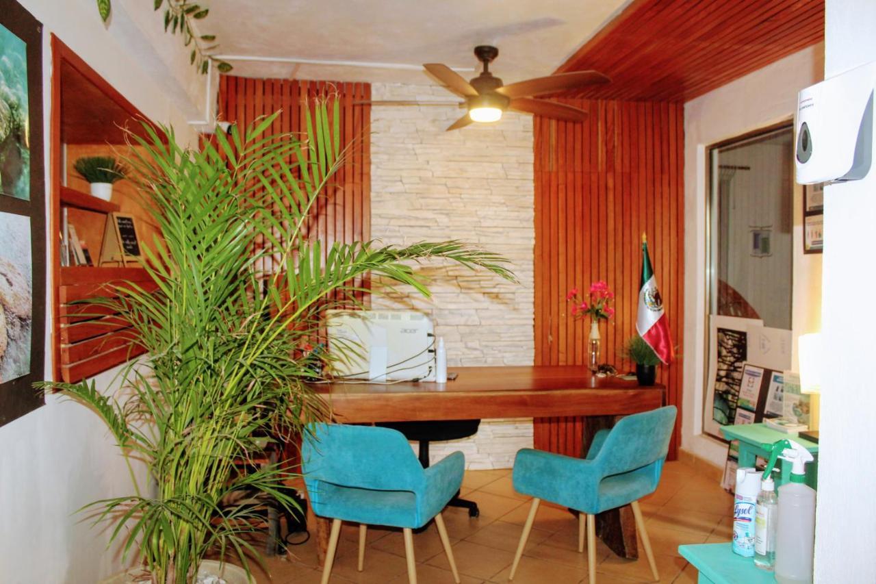 Hostal & Suites Pata De Perro Bacalar Bagian luar foto