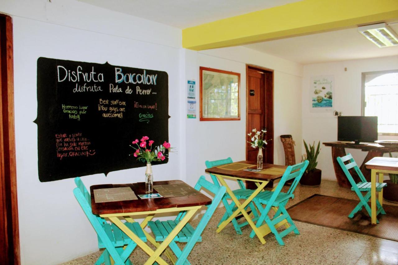 Hostal & Suites Pata De Perro Bacalar Bagian luar foto