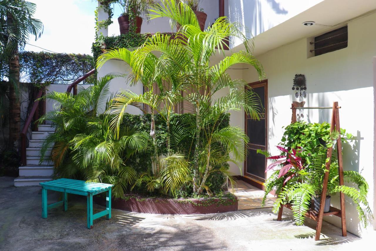 Hostal & Suites Pata De Perro Bacalar Bagian luar foto
