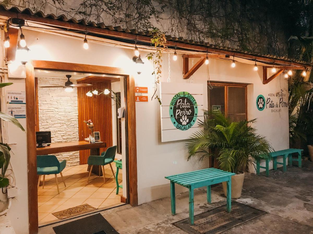 Hostal & Suites Pata De Perro Bacalar Bagian luar foto