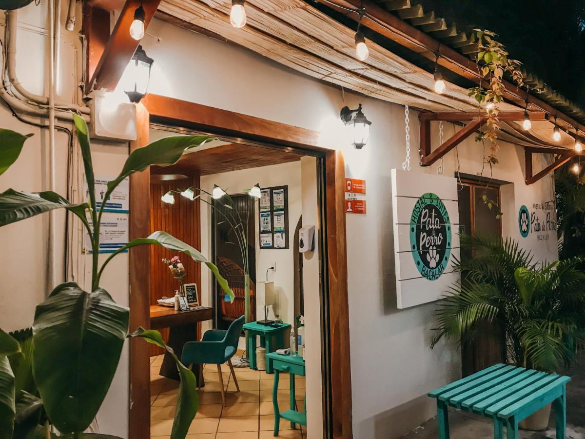 Hostal & Suites Pata De Perro Bacalar Bagian luar foto
